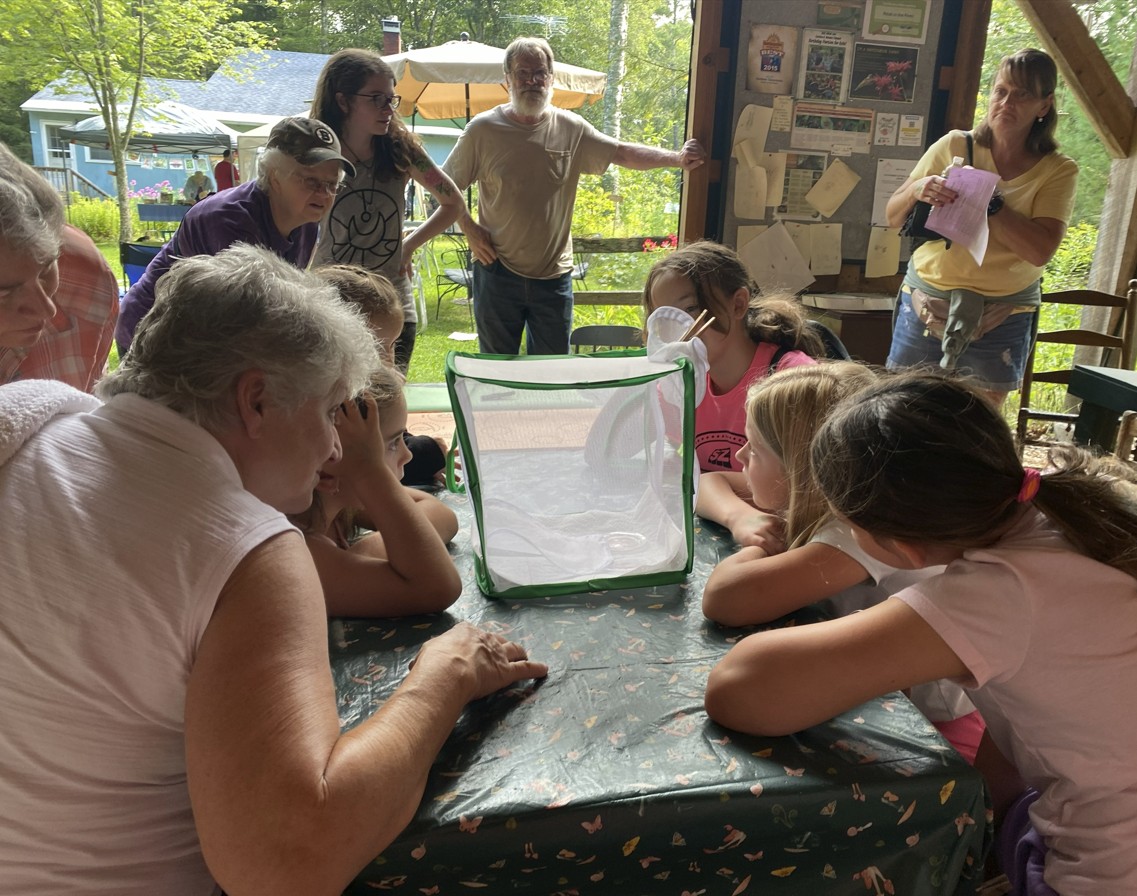 Attendees watching a caterpillar pupate
