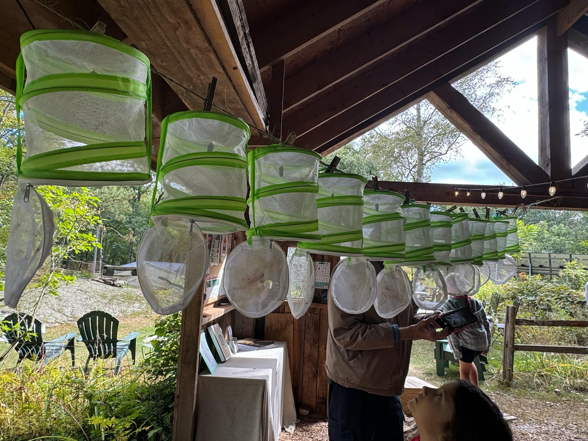 Attendees checking out chrysalises