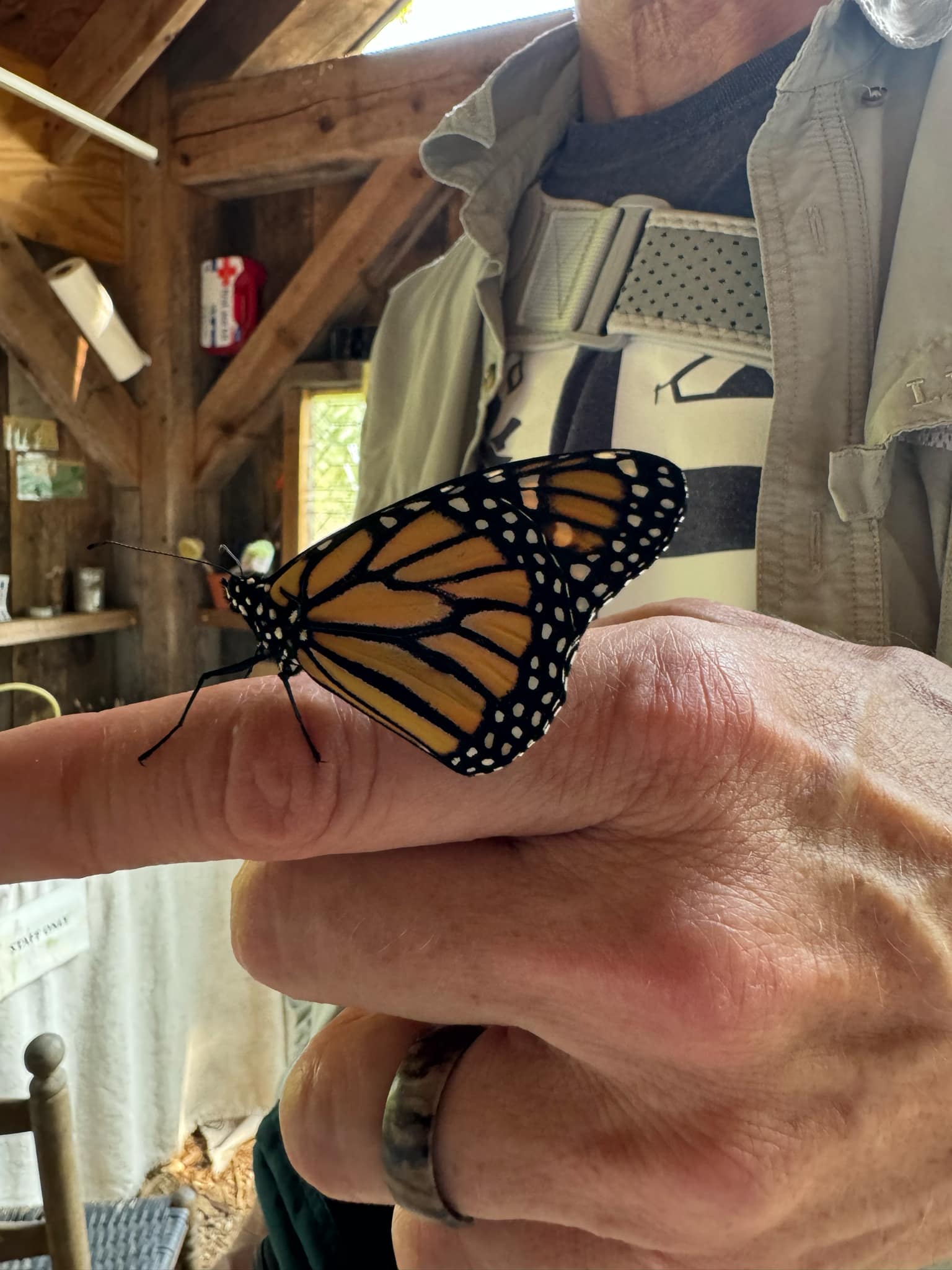 Jim Miller holding a monarch